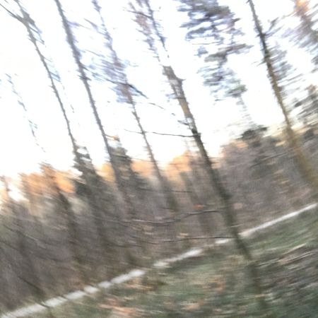 Wald