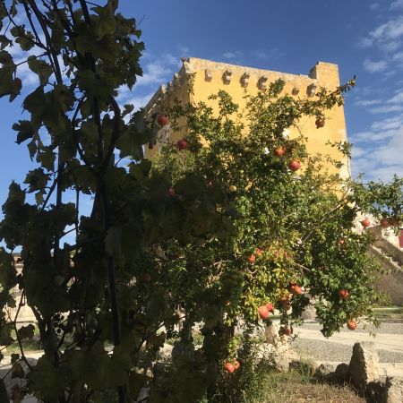 2017 + 2018 Apulien Tanzseminar