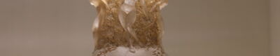 www_danseorientale_ch_Vase von Lalique