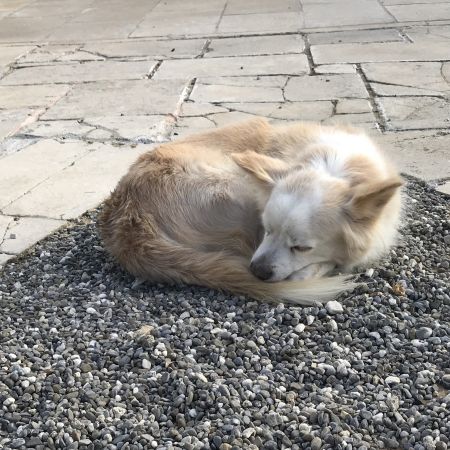 2018 Apulien Tanzseminar